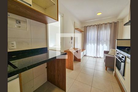 Sala/Cozinha de apartamento para alugar com 1 quarto, 27m² em Chácara Santo Antônio, São Paulo