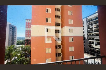 Apartamento para alugar com 3 quartos, 70m² em Vila Nova, Campinas