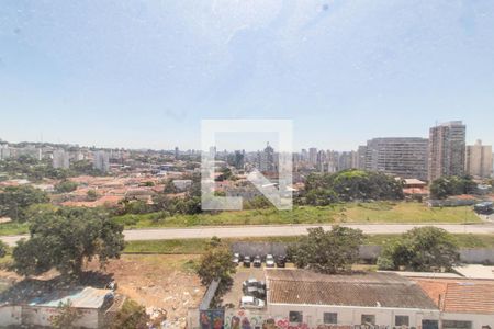 VISTA DA SACADA de apartamento para alugar com 2 quartos, 55m² em Bonfim, Campinas