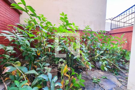 Varanda da Sala de apartamento para alugar com 5 quartos, 186m² em Vila Isabel, Rio de Janeiro