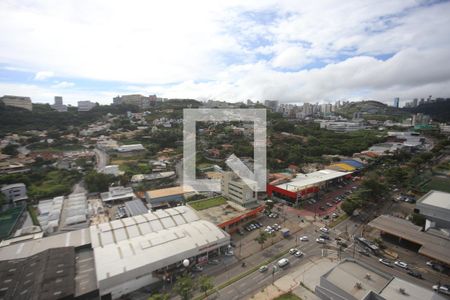 Apartamento para alugar com 2 quartos, 55m² em Estoril, Belo Horizonte