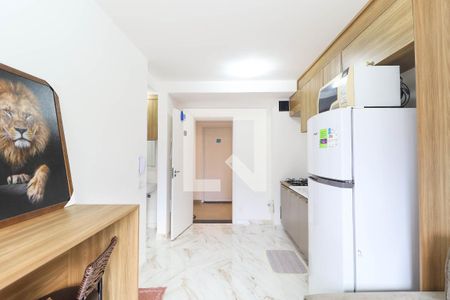 Sala e Cozinha de apartamento para alugar com 1 quarto, 28m² em Vila Mazzei, São Paulo