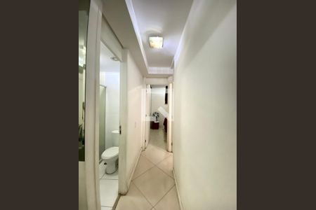 Corredor - Quartos de apartamento para alugar com 2 quartos, 49m² em Vila Guilherme, São Paulo