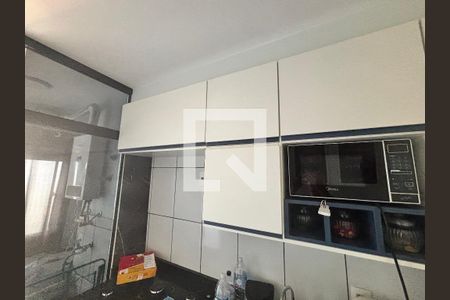 Cozinha - Armários de apartamento para alugar com 2 quartos, 35m² em Cidade Patriarca, São Paulo