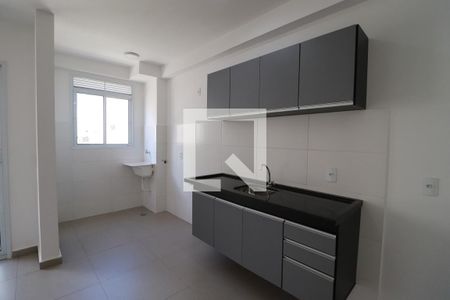 Cozinha  de apartamento para alugar com 2 quartos, 53m² em Reserva Real, Ribeirão Preto
