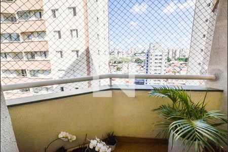 Sala de apartamento para alugar com 2 quartos, 60m² em Silveira, Santo André