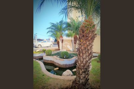 Apartamento à venda com 2 quartos, 54m² em Jardim Laone, São Paulo