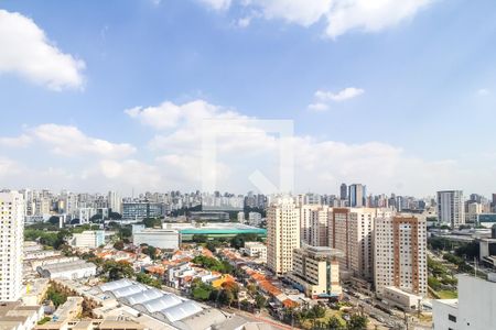 Terraço de apartamento para alugar com 1 quarto, 140m² em Várzea da Barra Funda, São Paulo