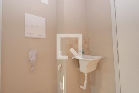 Detalhe Lavanderia de casa para alugar com 1 quarto, 29m² em Vila Graciosa, São Paulo