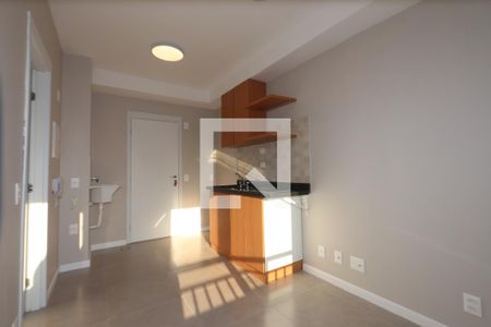 Sala e Cozinha de casa para alugar com 1 quarto, 29m² em Vila Graciosa, São Paulo