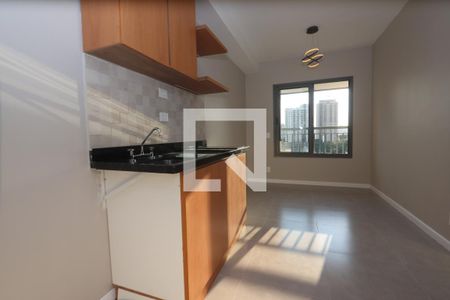 Sala e Cozinha de casa para alugar com 1 quarto, 29m² em Vila Graciosa, São Paulo