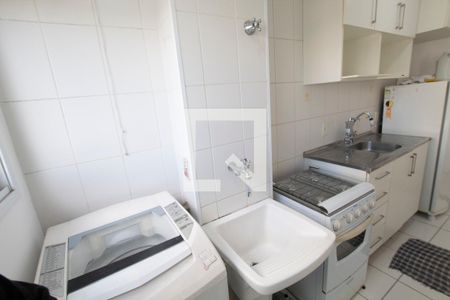 Lavanderia de apartamento para alugar com 1 quarto, 33m² em Cambuci, São Paulo