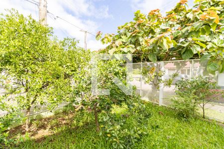 Quintal de casa à venda com 3 quartos, 86m² em Aberta dos Morros, Porto Alegre