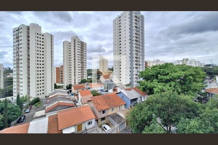 Vista de apartamento à venda com 3 quartos, 80m² em Vila Hamburguesa, São Paulo