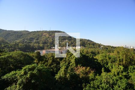 Varanda de apartamento para alugar com 2 quartos, 70m² em Itanhangá, Rio de Janeiro