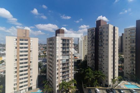 Vista da Varanda de apartamento para alugar com 2 quartos, 49m² em Jardim Celeste, São Paulo