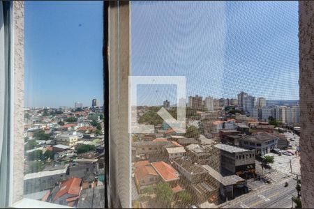 Sala - Janela de apartamento para alugar com 2 quartos, 38m² em Vila Amélia, São Paulo
