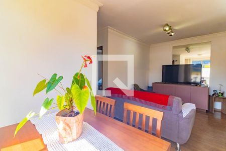 Apartamento à venda com 2 quartos, 58m² em Vila Santa Catarina, São Paulo