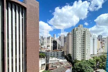 Vista da Sala de apartamento para alugar com 2 quartos, 70m² em Santo Antônio, Belo Horizonte