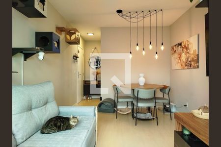 Sala de apartamento à venda com 3 quartos, 67m² em Vila Moreira, São Paulo