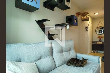 Sala de apartamento à venda com 3 quartos, 67m² em Vila Moreira, São Paulo