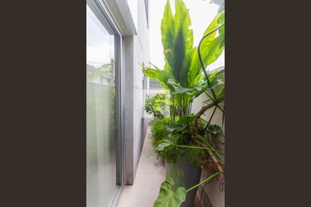 Área Privativa na Sala de apartamento à venda com 2 quartos, 112m² em Coracao de Jesus, Belo Horizonte