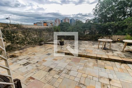 Quintal de casa para alugar com 4 quartos, 380m² em Vila Sonia, São Paulo