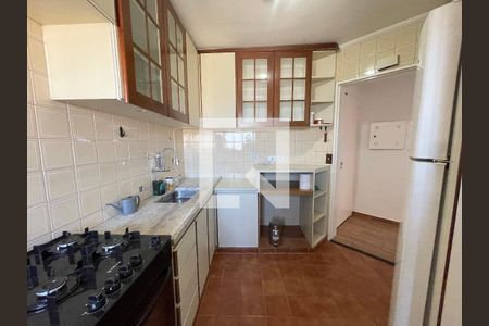 Cozinha e Área de Serviço de apartamento para alugar com 2 quartos, 56m² em Vila Nova Alba, São Paulo