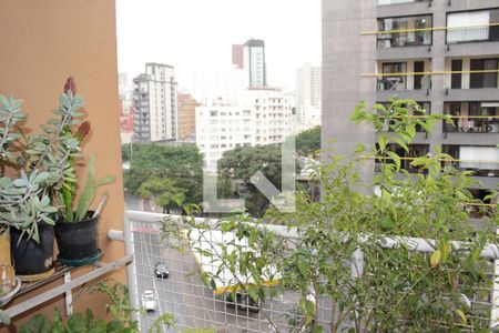 Apartamento à venda com 3 quartos, 235m² em Campos Elíseos, São Paulo