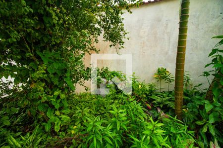 Jardim de casa para alugar com 2 quartos, 172m² em Princesa, Praia Grande