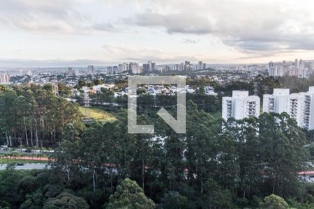 Vista da Varanda de apartamento para alugar com 2 quartos, 132m² em Centro Empresarial Tamboré, Santana de Parnaíba