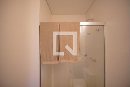 Banheiro de apartamento para alugar com 2 quartos, 62m² em João Paulo, Florianópolis