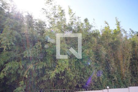 Vista do Quarto 1 de apartamento à venda com 2 quartos, 48m² em Morro Santana, Porto Alegre