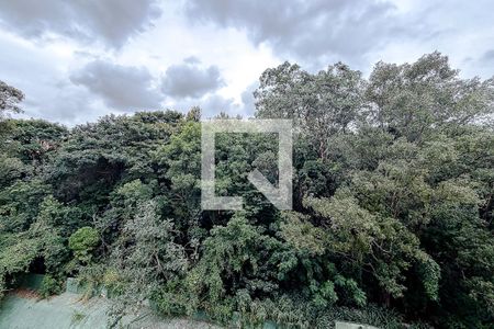 Vista da Varanda de apartamento para alugar com 3 quartos, 98m² em Cambuci, São Paulo