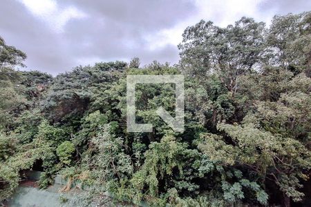 Vista da Varanda de apartamento para alugar com 3 quartos, 98m² em Cambuci, São Paulo