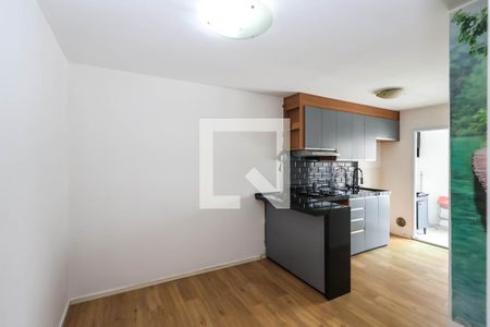 Sala e Cozinha de apartamento para alugar com 1 quarto, 35m² em Vila Monumento, São Paulo