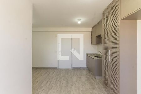 Sala/Cozinha de apartamento para alugar com 2 quartos, 41m² em Vila Centenario, São Paulo