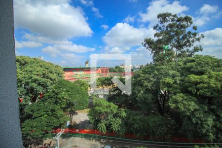 Apartamento para alugar com 2 quartos, 42m² em Canindé, São Paulo