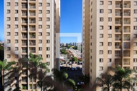 Vista da Varanda da Sala de apartamento à venda com 3 quartos, 65m² em Vila Morumbi, São Paulo