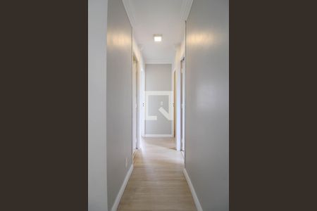 Corredor de apartamento para alugar com 3 quartos, 69m² em Vila Sonia, São Paulo