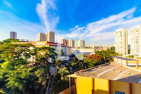 Kitnet/Studio para alugar com 1 quarto, 24m² em Vila Santa Catarina, São Paulo