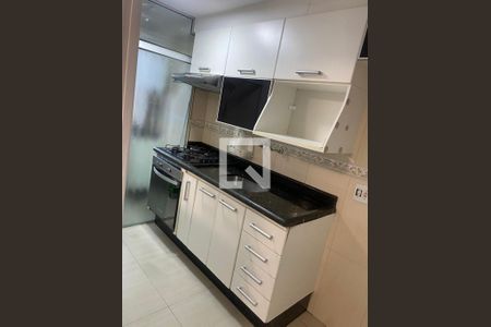 Cozinha de apartamento para alugar com 2 quartos, 50m² em Parque Sao Vicente, Santo André