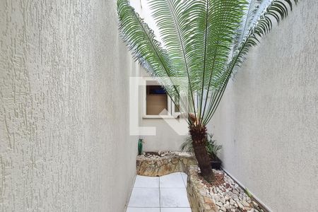 Sala - jardim de inverno de casa à venda com 3 quartos, 232m² em Vila Sacilotto, São Bernardo do Campo