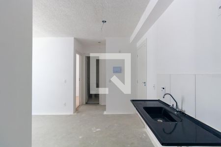 Cozinha de apartamento para alugar com 2 quartos, 35m² em Cidade São Mateus, São Paulo