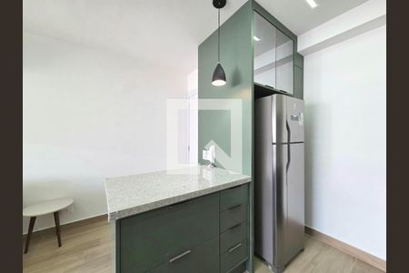 Cozinha de apartamento para alugar com 1 quarto, 41m² em Planalto Paulista, São Paulo