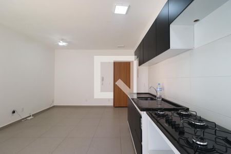 Cozinha de apartamento para alugar com 2 quartos, 55m² em Reserva Real, Ribeirão Preto