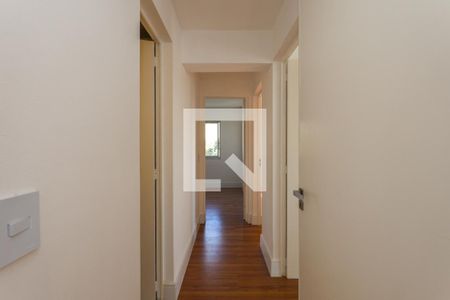 Corredor de apartamento para alugar com 3 quartos, 86m² em Jardim Ampliacao, São Paulo