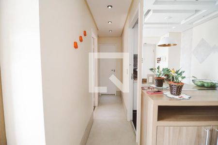 Corredor de apartamento à venda com 2 quartos, 49m² em Imirim, São Paulo