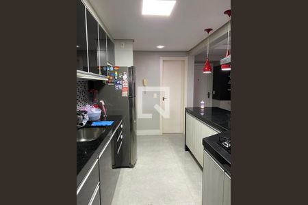 Cozinha de apartamento para alugar com 3 quartos, 95m² em Tristeza, Porto Alegre