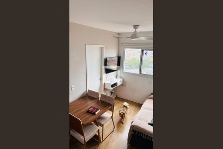 Apartamento à venda com 2 quartos, 35m² em Vila Pierina, São Paulo